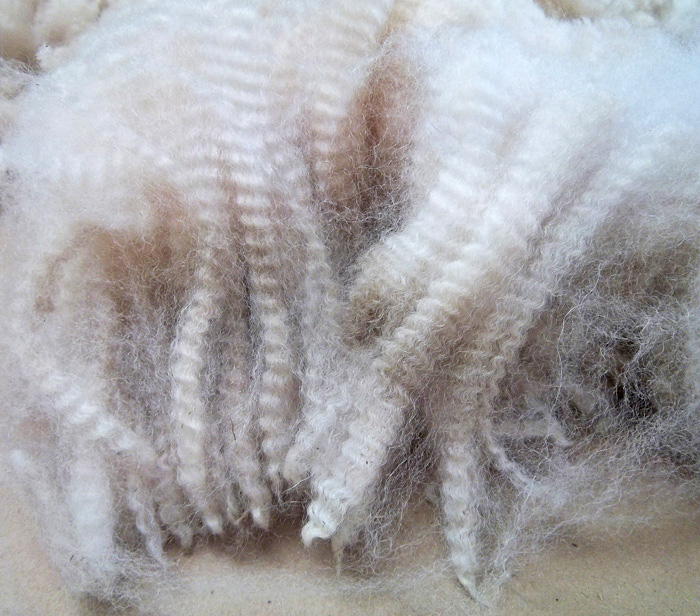 Fleece Show & Sale at Vermont Sheep & Wool Festival