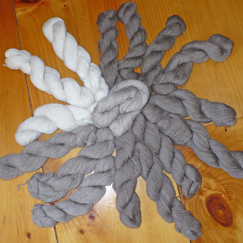 Boreas Farm at Vermont Sheep & Wool Festival