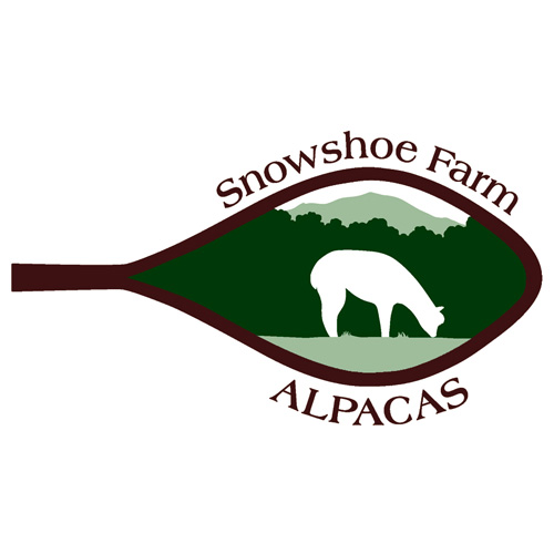 Snowshoe Farm Alpacas, Peacham, Vermont