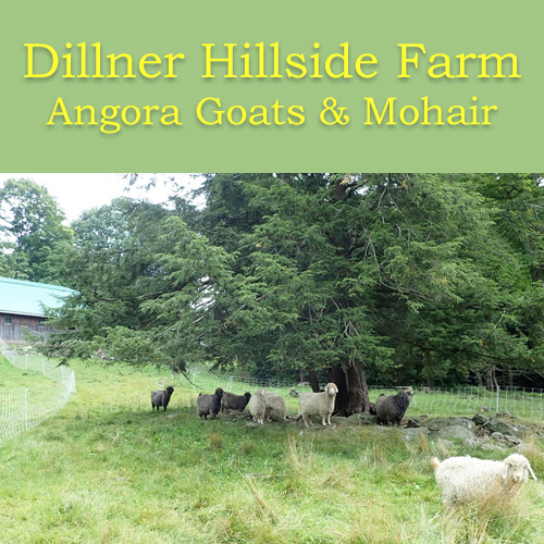 Dillner Hillside Farm at Vermont Sheep & Wool Festival