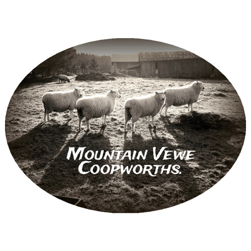 Mountain Vewe Coopworths at Vermont Sheep & Wool Festival