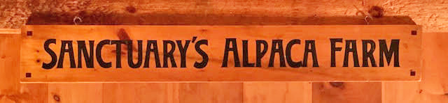 Sanctuary's Alpaca Farm at Vermont Sheep & Wool Festival