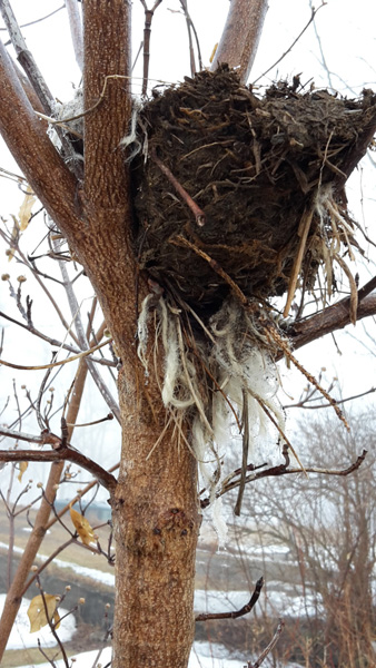Bedfellows Blankets at Vermont Sheep & Wool Festival