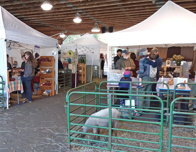 Vermont Sheep & Wool Festival, Tunbridge, Vermont