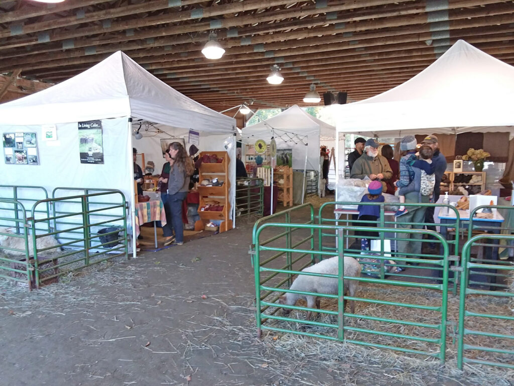 Vermont Sheep & Wool Festival, Tunbridge, VT