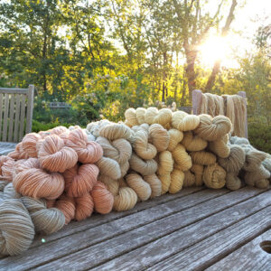 Naturally dyed wool - class with Anne Choi