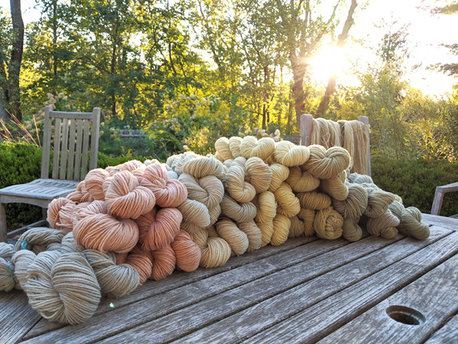 Naturally dyed wool - class with Anne Choi