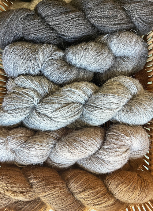 Willowmere Farm at Vermont Sheep & Wool Festival