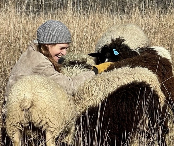 Willowmere Farm at Vermont Sheep & Wool Festival